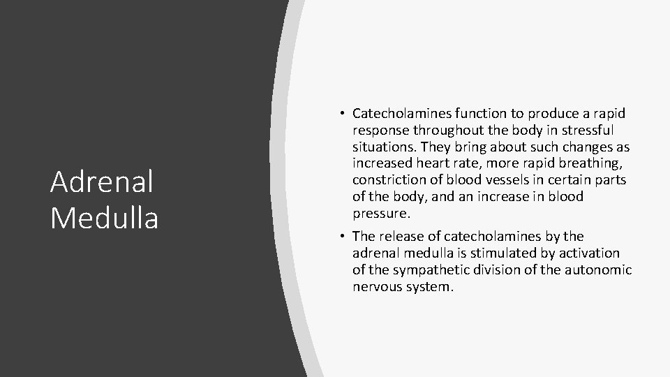 Adrenal Medulla • Catecholamines function to produce a rapid response throughout the body in