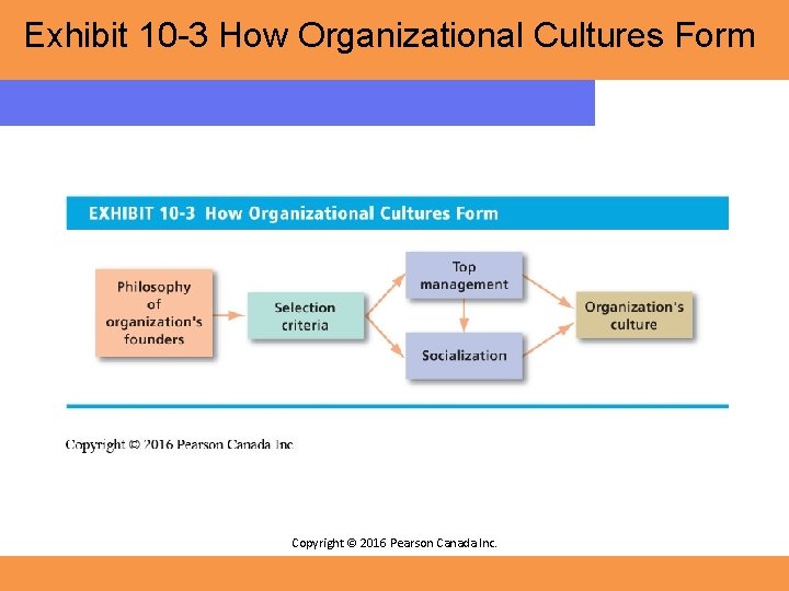 Exhibit 10 -3 How Organizational Cultures Form Copyright © 2016 Pearson Canada Inc. 