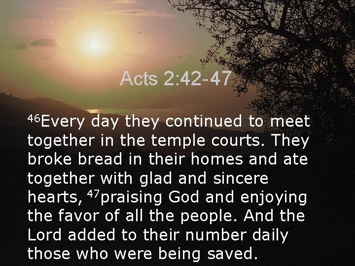 Acts 2: 42 - 47 46 Every day they continued to meet together in