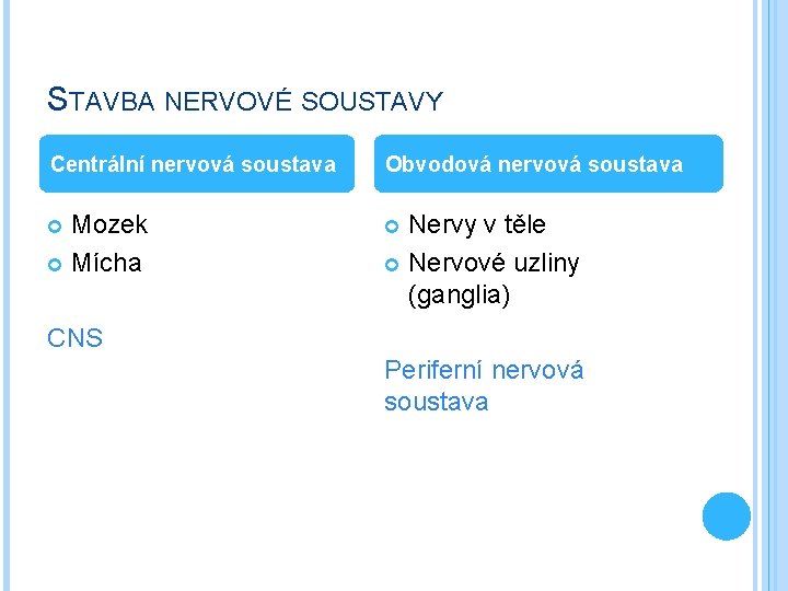 STAVBA NERVOVÉ SOUSTAVY Centrální nervová soustava Obvodová nervová soustava Mozek Mícha Nervy v těle