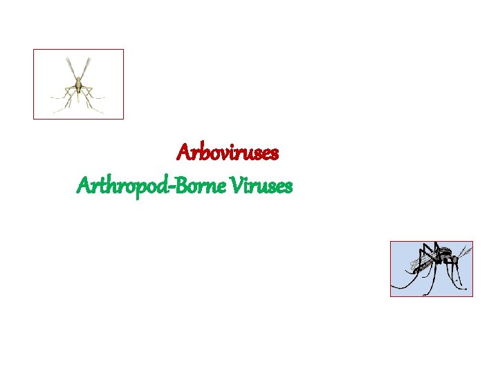 Arboviruses Arthropod-Borne Viruses 