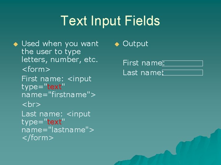 Text Input Fields u Used when you want the user to type letters, number,