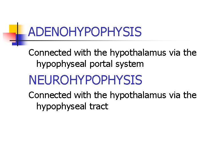 ADENOHYPOPHYSIS Connected with the hypothalamus via the hypophyseal portal system NEUROHYPOPHYSIS Connected with the