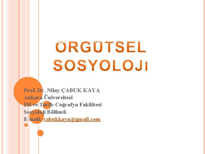 Prof. Dr. Nilay ÇABUK KAYA Ankara Üniversitesi Dil ve Tarih-Coğrafya Fakültesi Sosyoloji Bölümü E-mail: