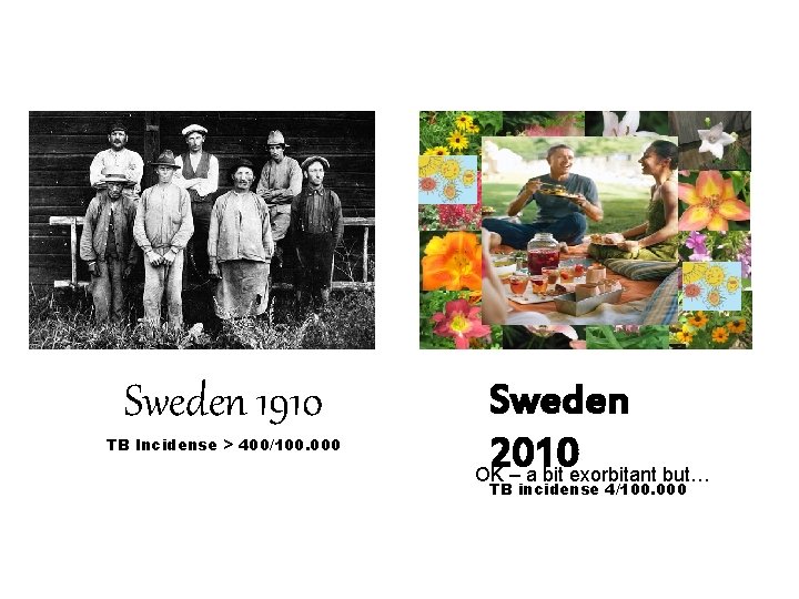 Sweden 1910 TB Incidense > 400/100. 000 Sweden 2010 OK – a bit exorbitant