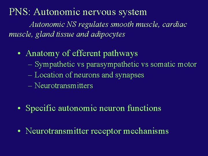 PNS: Autonomic nervous system Autonomic NS regulates smooth muscle, cardiac muscle, gland tissue and