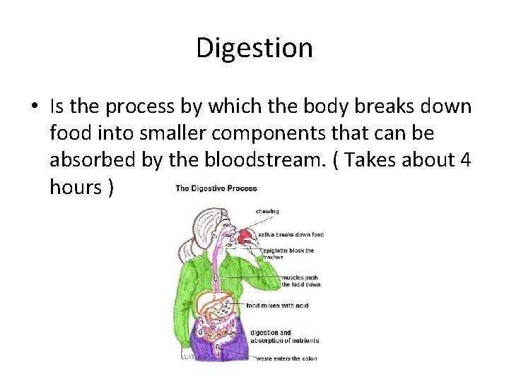 Digestion • Is the process by which the body breaks down food into smaller