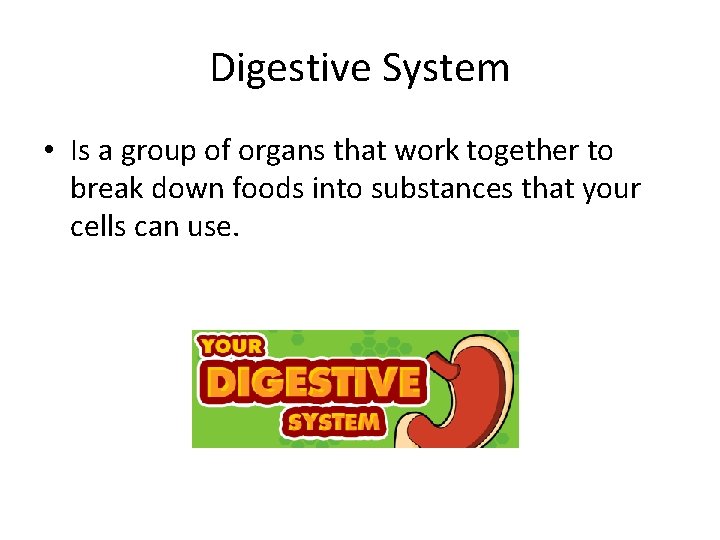 Digestive System • Is a group of organs that work together to break down