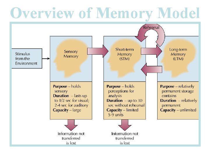 Overview of Memory Model Overview of Memory Model