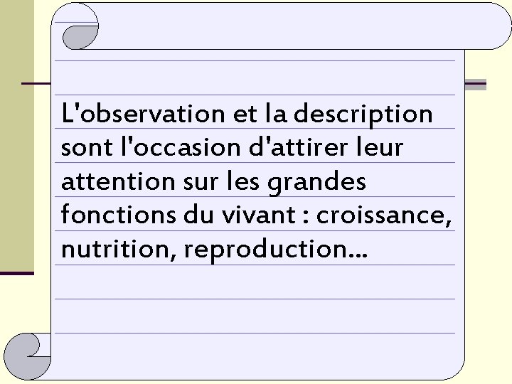 L'observation et la description sont l'occasion d'attirer leur attention sur les grandes fonctions du