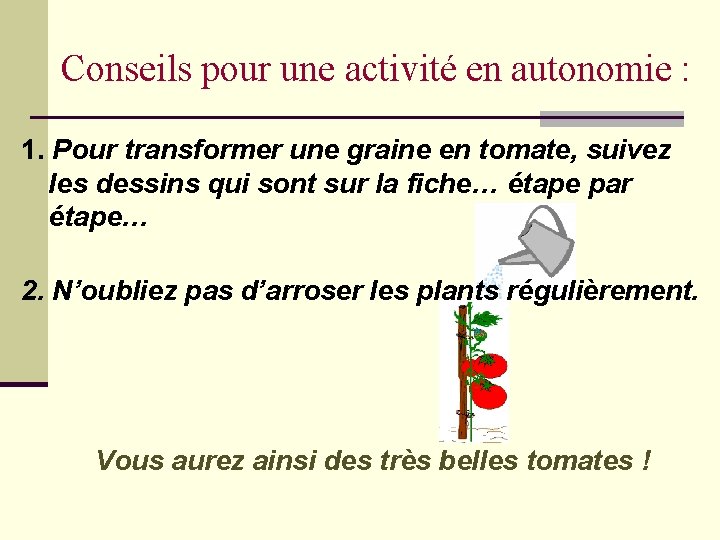 Conseils pour une activité en autonomie : 1. Pour transformer une graine en tomate,