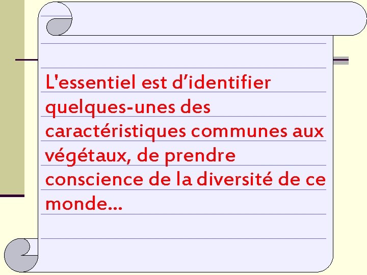 L'essentiel est d’identifier quelques-unes des caractéristiques communes aux végétaux, de prendre conscience de la