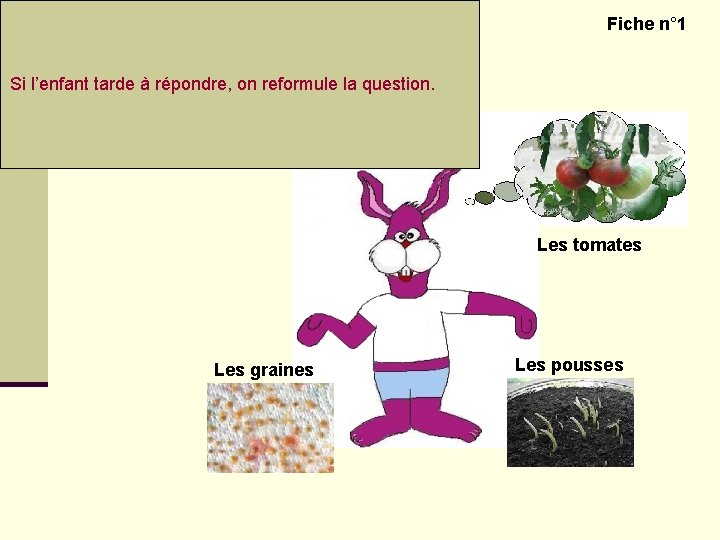 Découvrir le monde vivant – Les plantes Fiche n° 1 Question 1 : Si