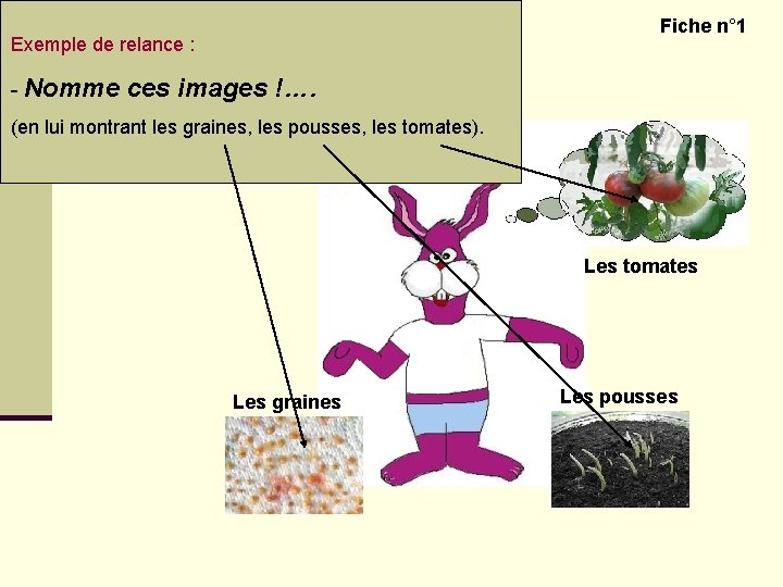 Découvrir le monde vivant – Les plantes Exemple de relance : Fiche n° 1