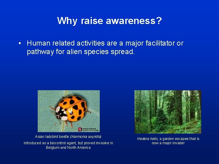 Why raise awareness? • Human related activities are a major facilitator or pathway for