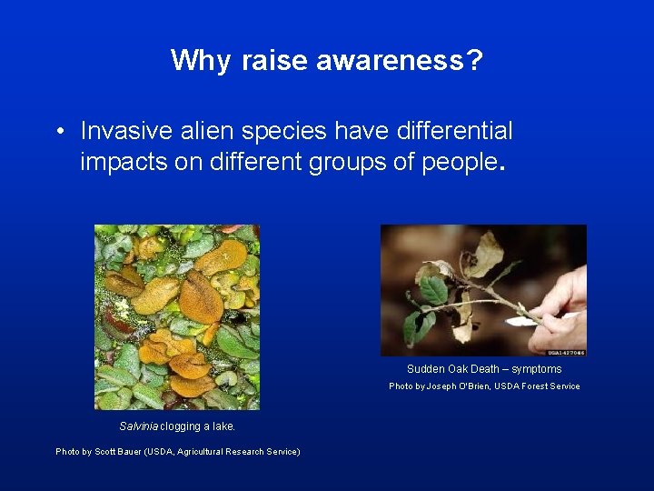 Why raise awareness? • Invasive alien species have differential impacts on different groups of