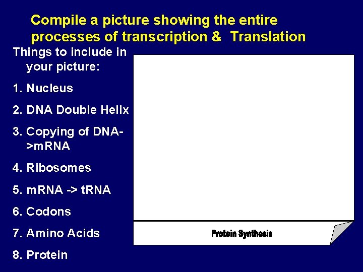 Compile a picture showing the entire processes of transcription & Translation Things to include
