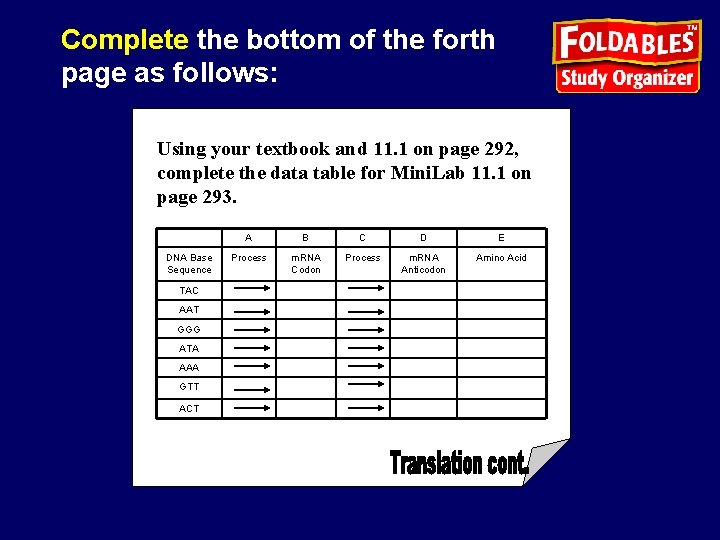 Complete the bottom of the forth page as follows: Using your textbook and 11.
