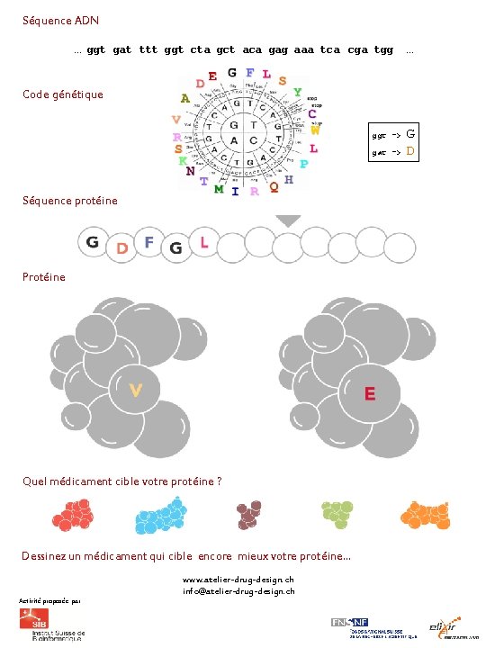 Séquence ADN … ggt gat ttt ggt cta gct aca gag aaa tca cga
