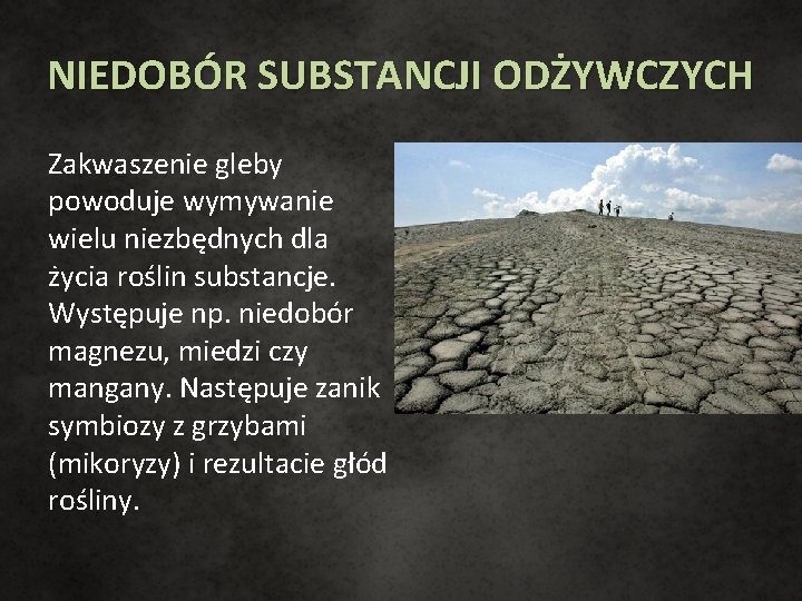 NIEDOBÓR SUBSTANCJI ODŻYWCZYCH Zakwaszenie gleby powoduje wymywanie wielu niezbędnych dla życia roślin substancje. Występuje