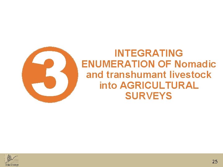 3 INTEGRATING ENUMERATION OF Nomadic and transhumant livestock into AGRICULTURAL SURVEYS 25 3 INTEGRATING ENUMERATION OF Nomadic and transhumant livestock into AGRICULTURAL SURVEYS 25