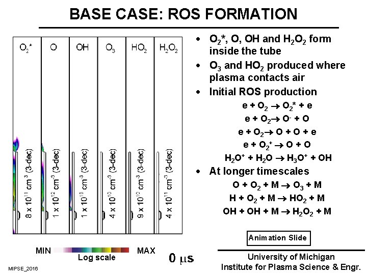 BASE CASE: ROS FORMATION · O 2*, O, OH and H 2 O 2