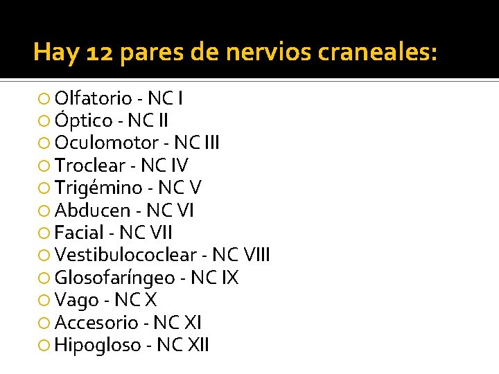 Hay 12 pares de nervios craneales: Olfatorio - NC I Óptico - NC II