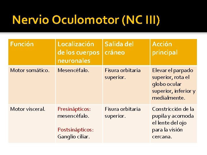 Nervio Oculomotor (NC III) Función Localización Salida del de los cuerpos cráneo neuronales Acción