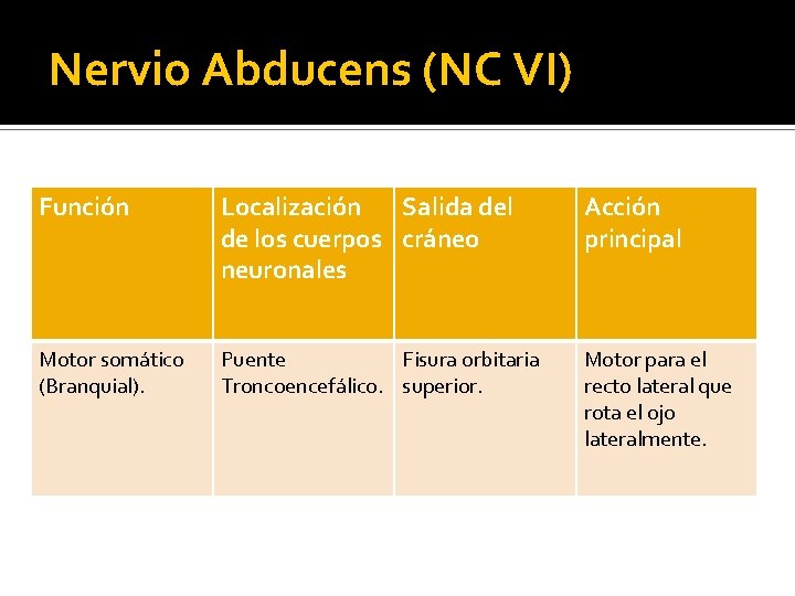 Nervio Abducens (NC VI) Función Localización Salida del de los cuerpos cráneo neuronales Acción