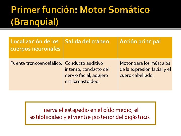 Primer función: Motor Somático (Branquial) Localización de los Salida del cráneo cuerpos neuronales Acción