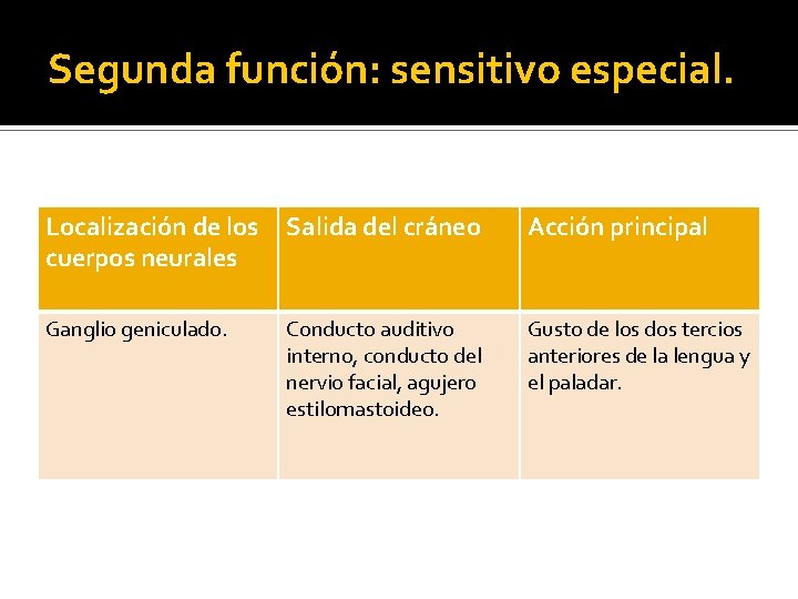 Segunda función: sensitivo especial. Localización de los cuerpos neurales Salida del cráneo Acción principal