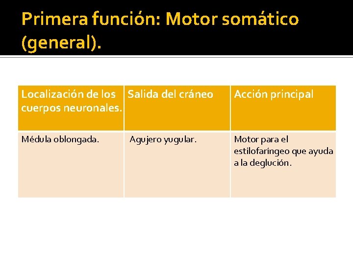 Primera función: Motor somático (general). Localización de los Salida del cráneo cuerpos neuronales. Acción