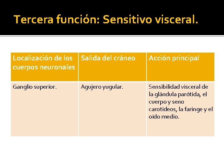 Tercera función: Sensitivo visceral. Localización de los Salida del cráneo cuerpos neuronales Acción principal