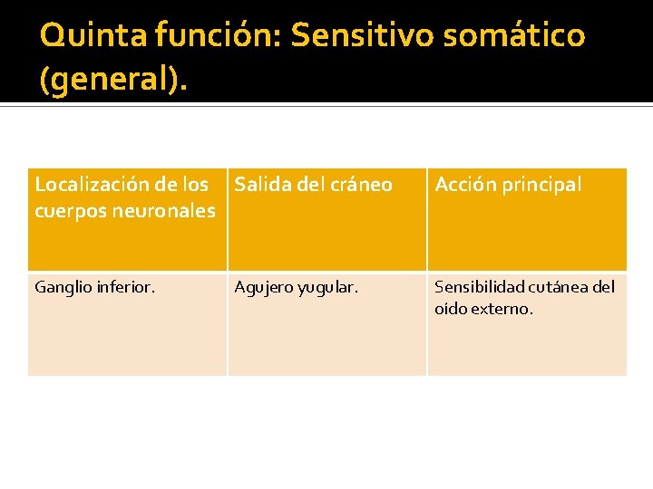 Quinta función: Sensitivo somático (general). Localización de los Salida del cráneo cuerpos neuronales Acción