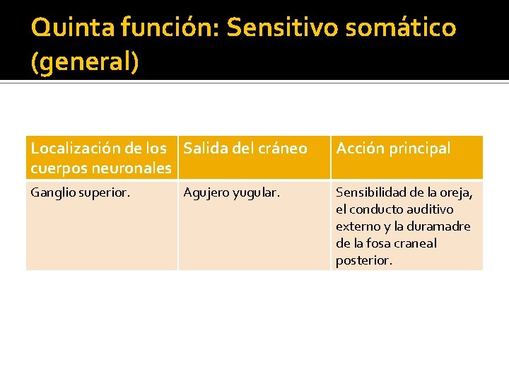 Quinta función: Sensitivo somático (general) Localización de los Salida del cráneo cuerpos neuronales Acción