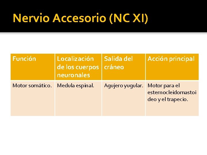 Nervio Accesorio (NC XI) Función Localización Salida del de los cuerpos cráneo neuronales Motor