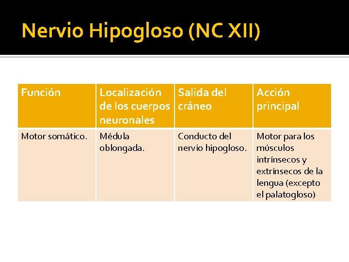 Nervio Hipogloso (NC XII) Función Localización Salida del de los cuerpos cráneo neuronales Motor