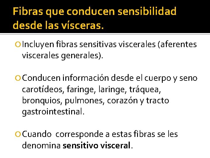 Fibras que conducen sensibilidad desde las vísceras. Incluyen fibras sensitivas viscerales (aferentes viscerales generales).