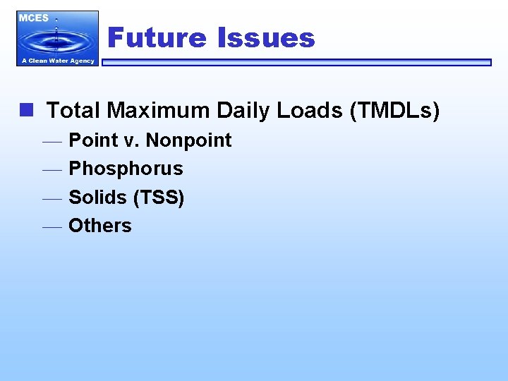 Future Issues n Total Maximum Daily Loads (TMDLs) — Point v. Nonpoint — Phosphorus