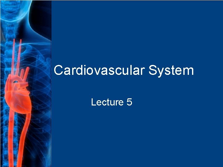 Cardiovascular System Lecture 5 