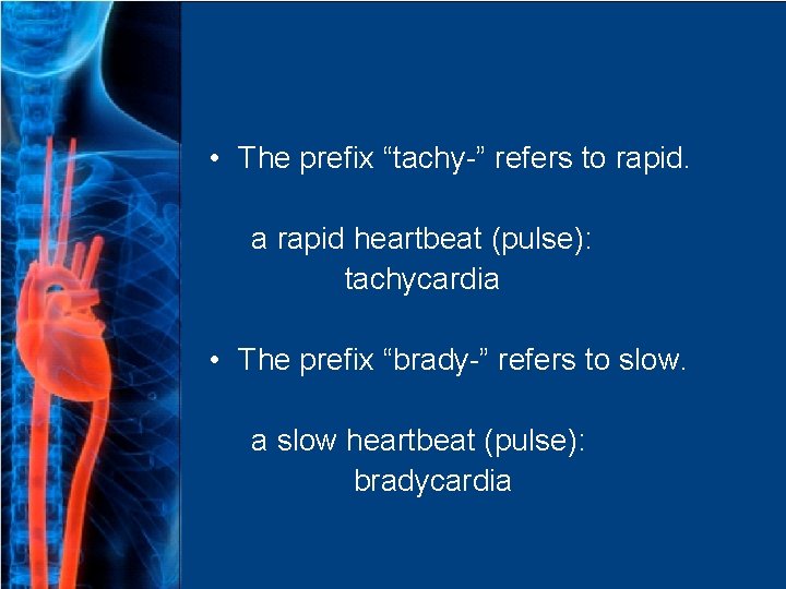  • The prefix “tachy-” refers to rapid. a rapid heartbeat (pulse): tachycardia •