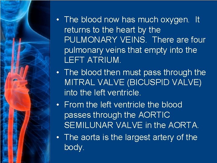  • The blood now has much oxygen. It returns to the heart by