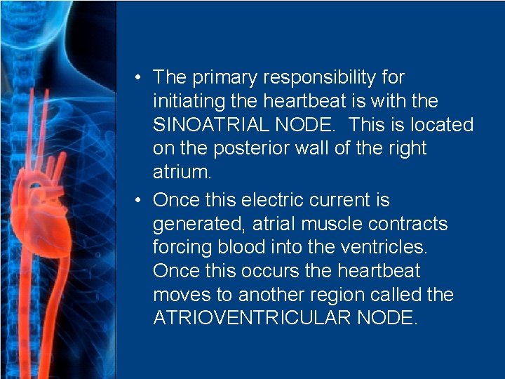  • The primary responsibility for initiating the heartbeat is with the SINOATRIAL NODE.