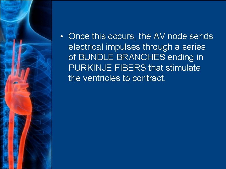  • Once this occurs, the AV node sends electrical impulses through a series