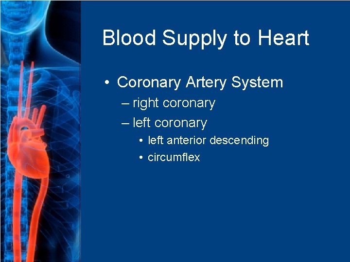 Blood Supply to Heart • Coronary Artery System – right coronary – left coronary