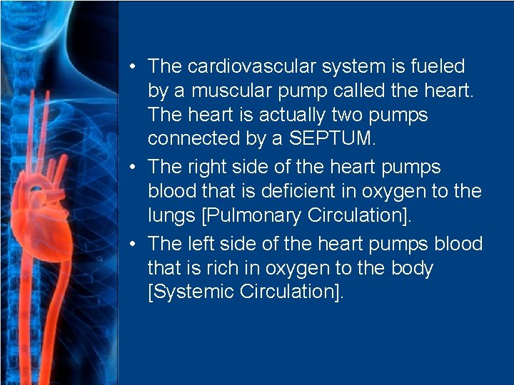  • The cardiovascular system is fueled by a muscular pump called the heart.