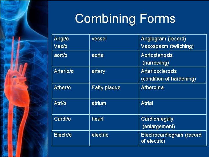 Combining Forms Angi/o Vas/o vessel Angiogram (record) Vasospasm (twitching) aort/o aorta Aortostenosis (narrowing) Arterio/o