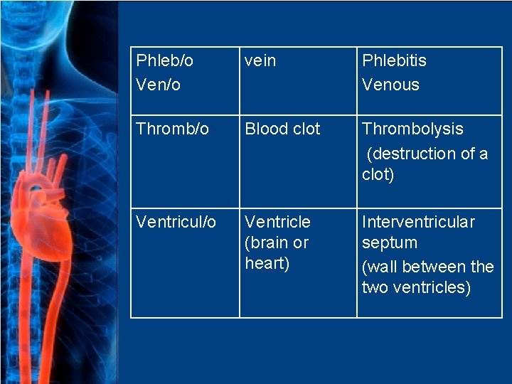 Phleb/o Ven/o vein Phlebitis Venous Thromb/o Blood clot Thrombolysis (destruction of a clot) Ventricul/o