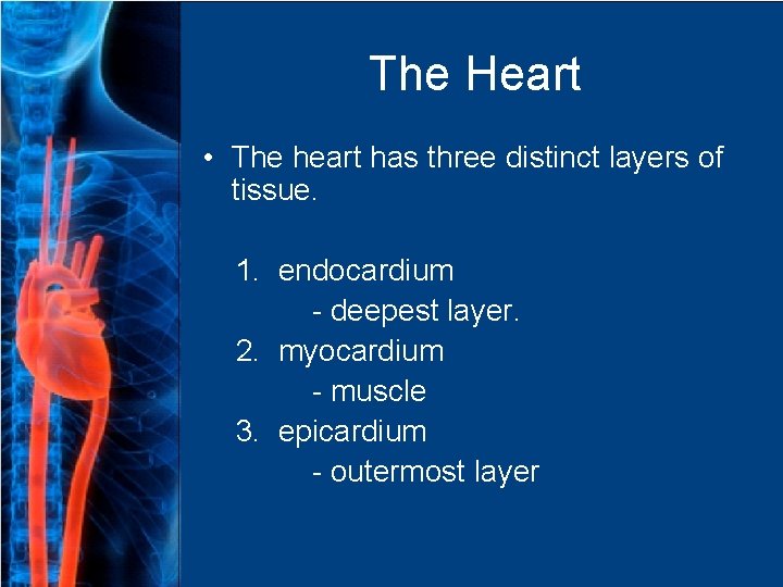 The Heart • The heart has three distinct layers of tissue. 1. endocardium -