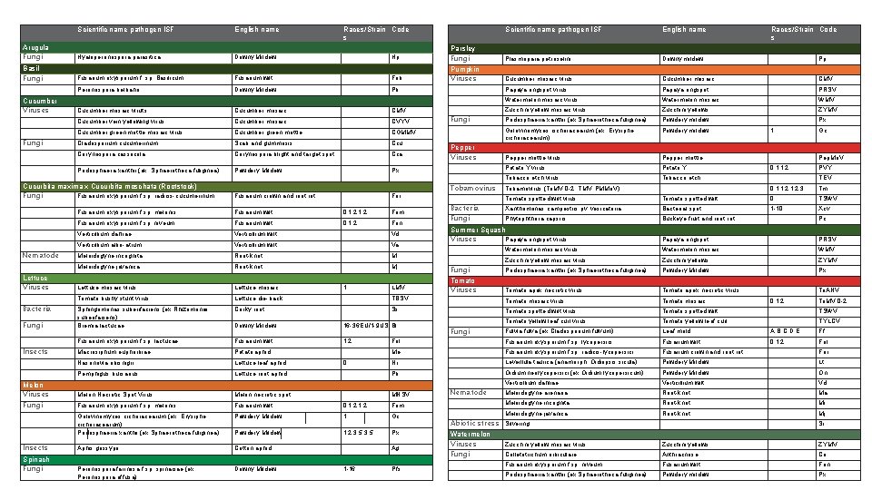 Arugula Fungi Basil Fungi Cucumber Viruses Fungi Scientific name pathogen ISF English name Hyaloperonospora
